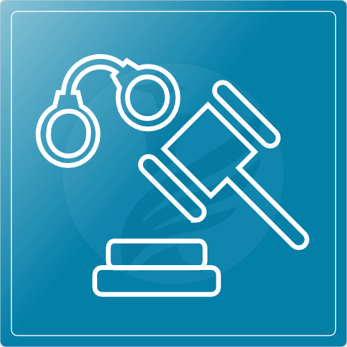 Criminal Litigations